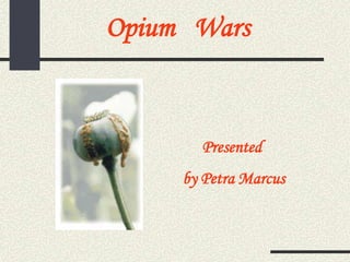 Opium   Wars Presented  by Petra Marcus 