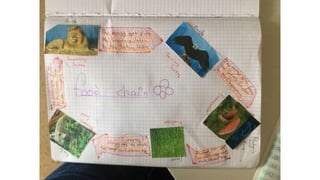 Food chain examples