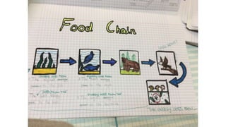 Food chain examples