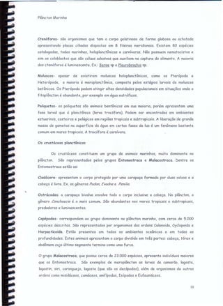 Plâncton Marinho
Ctenóforos- são organismos que tem o corpo gelatinoso de forma globosa ou achatada
apresentando placas ciliadas dispostas em 8 fileiras meridionais. Existem 80 espécies
catalogadas, todas marinhas, holoplanctônicas e carnívoras. Não possuem nematocistos e
sim os coloblastos que são céluas adesivas que auxiliam na captura do alimento. A maioria
dos ctenóforos é luminescente. Ex.: Beroe sp e Pleurobrachia sp.
Moluscos- apesar de existirem moluscos holoplanctônicos, como os Pterópoda e
Heterópoda, a maioria é meroplanctônica, composta pelos estágios larvais de moluscos
betônicos. Os Pterópoda podem atingir altas densidades populocionois em situações onde o
fitoplâncton é abundante, por exemplo em água eutróficas.
Poliquetos- os poliquetas são animais bentônicos em Sua maioria, porém apresentam uma
fase larval que é planctônica (larva trocófora). Podem ser encontrodcs em ambientes
estuarinos, costeiros e pelógicos em regiões tropicois e subtr-opicois. A liberação de grande
massa de gametas na superfície da água em certas fases da lua é um fenômeno bastante
comum em mares tropicais. A trocófora é carnívora.
Os crustáceos plcnctênicos
Os crustóceos constituem um grupo de animais marinhos, muito dominante no
plâncton. São representados pelos grupos Entomostraca e Malacostraca. "Dentre os
Entomostraca estão os:
Cladócera- apresentam o corpo protegido por uma carapaça formada por duas volvas e a
cabeça é livre. Ex. os gêneros Podon, Evadne e Peni/ia.
Ostrócodas: a carapaça bivalve envolve todo o corpo inclusive a cabeça. No plâncton, o
gênero Conchoecia é o mais comum. São abundantes nos mares tropicais e subtropiccis.
predadoras e luminescentes.
Copépodas- correspondem ao grupo dominante no plâncton marinho, com cerca de 5.000
espécies descritas. São representados por organismos das ordens Calanoida, Cyclopoida e
Harpacticoida. Estão presentes em todos os ambientes oceânicos e em todas as
profundidades. Estes animais apresentam o corpo dividido em três partes: cabeça, tórax e
abdômem cujo último segmento termina como uma furca.
o grupo Malacostraca, que possui cerca de 23.000 espécies, apresenta indivíduos maiores
que os Entomostraca. São exemplos de meroplâncton as larvas de camarão, lagosta,
lagostin, siri, caranguejo, lagosta (que são os decópodes), além de organismos de outras
ordens como misiddceos, cumóceos, omfipodcs, Isópodas e Eufausiáceos.
10
 