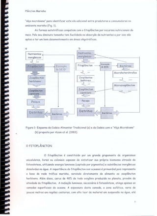 Plêncton Marinho
"alça microbiana" para identificar este elo adicional entre produtores e consumidores no
ambiente marinho (Fig. 1).
As formas autotróficas competem com o fitoplâncton por recursos nutricionais do
meio. Pelo seu diminuto tamanho tem facilidade na absorção de nutrientes e por isso são
aptas a ter um bom desenvolvimento em áreas oligotróficas.
a b
Nutrientes
inorqônicos +~---"=""""":::-----------l
~~ ~
.-----"'--.;:.--
Nutrientes .t-------------,
EXCl'cçôo
deMqt>
;jJ----+j EX(,H)~ão
de1IOD
Zooplôncton
herbívoro
Microzooplôncton
~
IDetritos <J90et,,10, -.J ,--------'
~ ----
Dett'itôs <JB t" -.J
oc erros
. l·'
Figura 1- Esquema da Cadeia Alimentar Tradicional (a) e da Cadeia com a "Alça Microbiana"
(b) proposta por Azam et aI. (1983).
o FITOPLÂNCTON
o fitoplâncton é constituído por um grande grupamento de organismos
unicelulares, livres ou coloniais capazes de sintetizar sua própria biomassa através da
fotossíntese, utilizando energia luminosa (captada por pigmentos) e substâncias inorgânicas
dissolvidas na água. A importância do fitoplâncton nos oceanos é primordial pois representa
a base da rede trófica marinha, servindo diretamente de alimento ao zooplâncton
herbívoro. Além disso, cerca de 48'10 de todo oxigênio produzido no planeta, provém da
atividade do fitoplâncton. A radiação luminosa, necessária à fotossíntese, atinge apenas as
camadas superficiais do oceano. A espessura desta camada, a zona eufótica, varia de
poucos metros em regiões costeiras, com alto teor de material em suspensão na água, até
5
 
