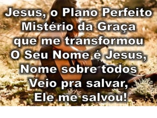 O plano perfeito renascer prise