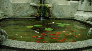 O plimbare in milano