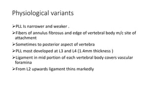 Physiological variants
PLL Is narrower and weaker .
Fibers of annulus fibrosus and edge of vertebral body m/c site of
attachment
Sometimes to posterior aspect of vertebra
PLL most developed at L3 and L4 (1.4mm thickness )
Ligament in mid portion of each vertebral body covers vascular
foramina
From L2 upwards ligament thins markedly
 