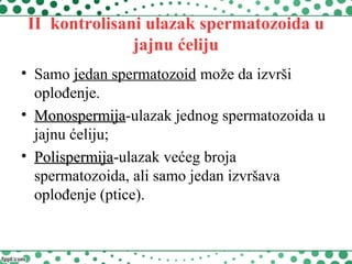 II kontrolisani ulazak spermatozoida u
jajnu ćeliju
• Samo jedan spermatozoid može da izvrši
oplođenje.
• MonospermijaMonospermija-ulazak jednog spermatozoida u
jajnu ćeliju;
• PolispermijaPolispermija-ulazak većeg broja
spermatozoida, ali samo jedan izvršava
oplođenje (ptice).
 