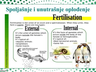 Spoljašnje i unutrašnje oplođenje
 