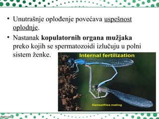 • Unutrašnje oplođenje povećava uspešnost
oplodnje.
• Nastanak kopulatornih organa mužjaka
preko kojih se spermatozoidi izlučuju u polni
sistem ženke.
 