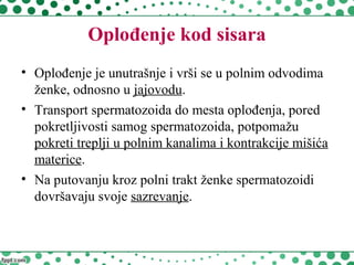 Oplođenje kod sisara
• Oplođenje je unutrašnje i vrši se u polnim odvodima
ženke, odnosno u jajovodu.
• Transport spermatozoida do mesta oplođenja, pored
pokretljivosti samog spermatozoida, potpomažu
pokreti treplji u polnim kanalima i kontrakcije mišića
materice.
• Na putovanju kroz polni trakt ženke spermatozoidi
dovršavaju svoje sazrevanje.
 