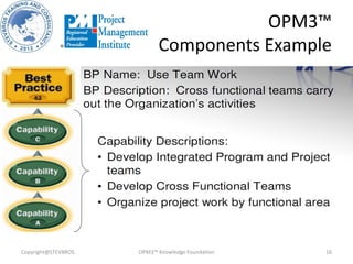 OPM3™
Components Example
Copyright@STEVBROS OPM3™ Knowledge Foundation 16
 