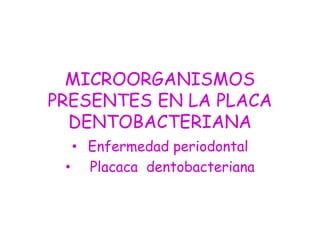 MICROORGANISMOS
PRESENTES EN LA PLACA
DENTOBACTERIANA
• Enfermedad periodontal
• Placaca dentobacteriana
 