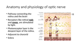 optic nerve anatomy physiology and pathophysiology | PPTX