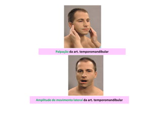 Palpação da art. temporomandibular
Amplitude de movimento lateral da art. temporomandibular
 