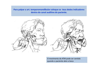 Para palpar a art. temporomandibular coloque os teus dedos indicadores
dentro do canal auditivo do paciente.
O movimento da ATM pode ser sentido
quando o paciente abre a boca
 