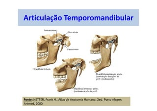 Articulação Temporomandibular
Fonte: NETTER, Frank H.. Atlas de Anatomia Humana. 2ed. Porto Alegre:
Artmed, 2000.
 