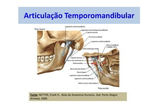 Articulação Temporomandibular
Fonte: NETTER, Frank H.. Atlas de Anatomia Humana. 2ed. Porto Alegre:
Artmed, 2000.
 