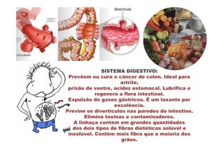 SISTEMA DIGESTIVO:
 Prevêem ou cura o câncer de colon. Ideal para
                      artrite,
 prisão de ventre, acidez estomacal. Lubrifica e
            regenera a flora intestinal.
 Expulsão de gases gástricos. É um laxante por
                   excelência.
Previne os divertículos nas paredes do intestino.
        Elimina toxinas e contaminadores.
   A linhaça contém em grandes quantidades
   dos dois tipos de fibras dietéticas solúvel e
 insolúvel. Contém mais fibra que a maioria dos
                       grãos.
 