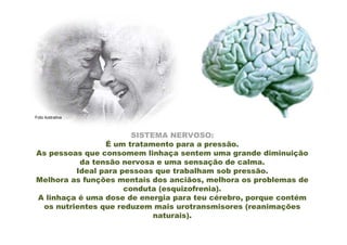 Foto ilustrativa



                       SISTEMA NERVOSO:
                É um tratamento para a pressão.
As pessoas que consomem linhaça sentem uma grande diminuição
          da tensão nervosa e uma sensação de calma.
         Ideal para pessoas que trabalham sob pressão.
Melhora as funções mentais dos anciãos, melhora os problemas de
                     conduta (esquizofrenia).
A linhaça é uma dose de energia para teu cérebro, porque contém
 os nutrientes que reduzem mais urotransmisores (reanimações
                            naturais).
 