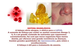 SISTEMA IMUNOLÓGICO:
        A linhaça alivia alergias, é efetiva para o LUPUS.
A semente de linhaça por conter os azeites essenciais Omega 3,
   6, 9 e um grande conteúdo de nutrientes que requeremos
  constantemente, faz com que nosso organismo fique menos
    doente, por oferecer uma grande resistência às doenças.
 Contém grandes quantidades de rejuvenescedor, pois retém o
                         envelhecimento.
          A linhaça é útil para o tratamento da anemia.
 