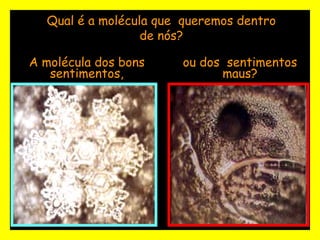 Qual é a molécula que  queremos dentro de nós? A molécula dos bons sentimentos, ou dos  sentimentos maus? 