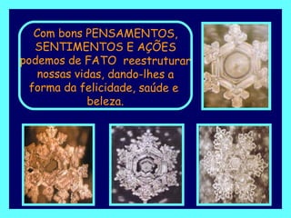 Com bons PENSAMENTOS, SENTIMENTOS E AÇÕES podemos de FATO  reestruturar nossas vidas, dando-lhes a forma da felicidade, saúde e  beleza. 