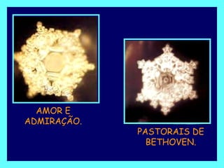 AMOR E ADMIRAÇÃO. PASTORAIS DE BETHOVEN. 