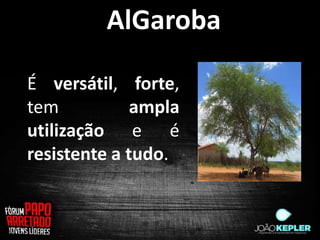 AlGaroba

É versátil, forte,
tem           ampla
utilização e é
resistente a tudo.
 