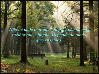 Não há nada pior que a língua; não há nada melhor que a língua. Depende do modo  que a usamos.   