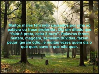 Muitos males têm sido causados por uma só palavra ou frase proferida . Diz um ditado que “falar é prata, calar é ouro”. Palavras ferem, matam, magoam, semeiam dúvidas, fazem pecar, geram ódio...e muitas vezes quem diz o que quer, ouve o que não quer. 