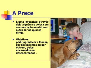 A Prece
   É uma invocação; através
    dela alguém se coloca em
    comunicação mental com
    outro ser ao qual se
    dirige.

   Objetivos:
    pedir,agradecer e louvar,
    por nós mesmos ou por
    outrem, pelos
    encarnados ou
    desencarnados .
 