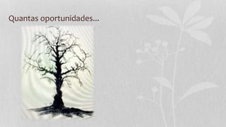 Quantas oportunidades...
 