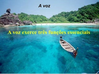 A voz




A voz exerce três funções essenciais
 