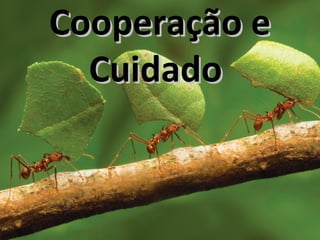 Cooperação eCooperação e
CuidadoCuidado
 