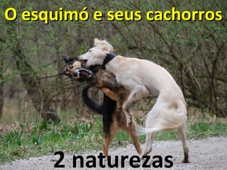 O esquimó e seus cachorrosO esquimó e seus cachorros
2 naturezas2 naturezas
 