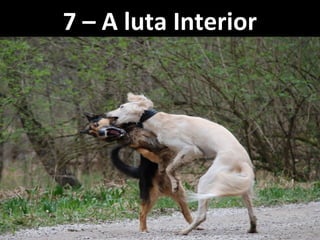 7 – A luta Interior7 – A luta Interior
 