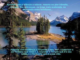 Aprende com o silêncio a relaxar, mesmo no pior trânsito, na maior das cobranças, na briga mais acalorada, na discussão entre familiares... Aprende com o silêncio a respeitar o seu "eu",   a valorizar o ser humano que você é, a respeitar o Templo que é o seu corpo, e o Santuário que é a sua vida.   