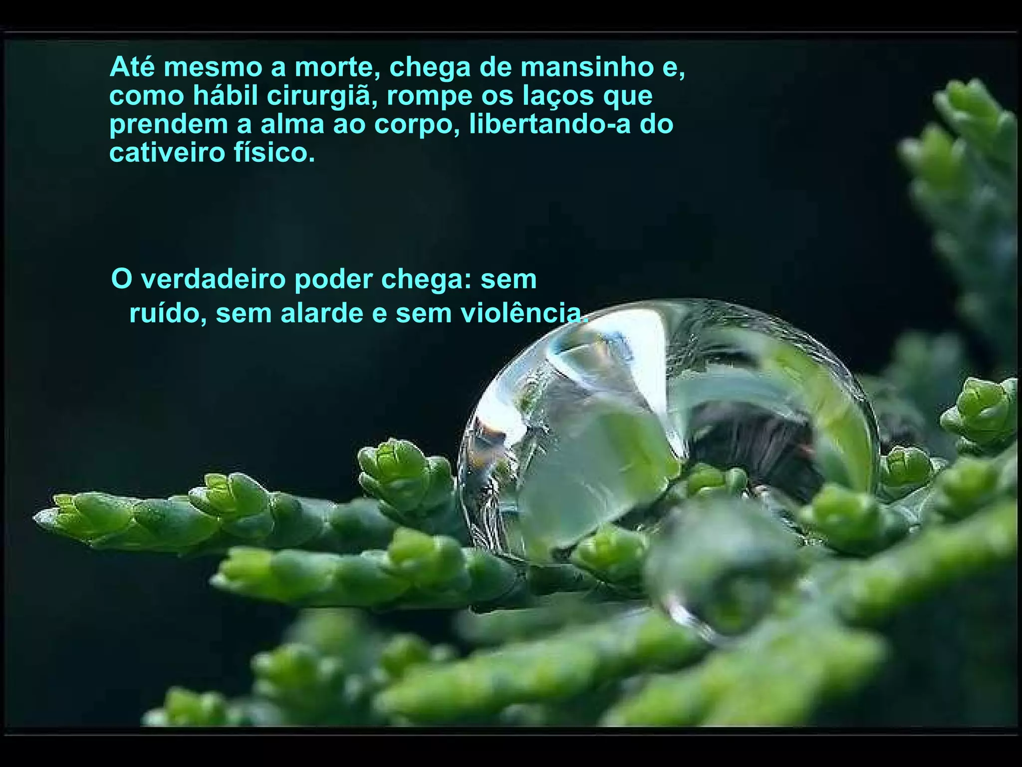 Até mesmo a morte, chega de mansinho e, como hábil cirurgiã, rompe os laços que prendem a alma ao corpo, libertando-a do cativeiro físico. O verdadeiro poder chega: sem  ruído, sem alarde e sem violência.  