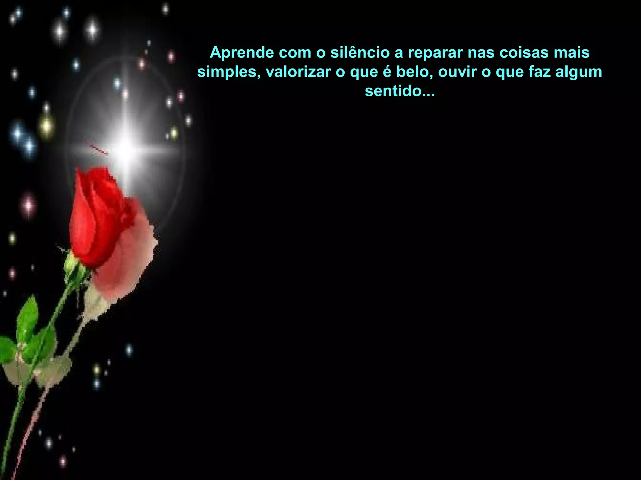 Aprende com o silêncio a reparar nas coisas mais
simples, valorizar o que é belo, ouvir o que faz algum
sentido...

 
