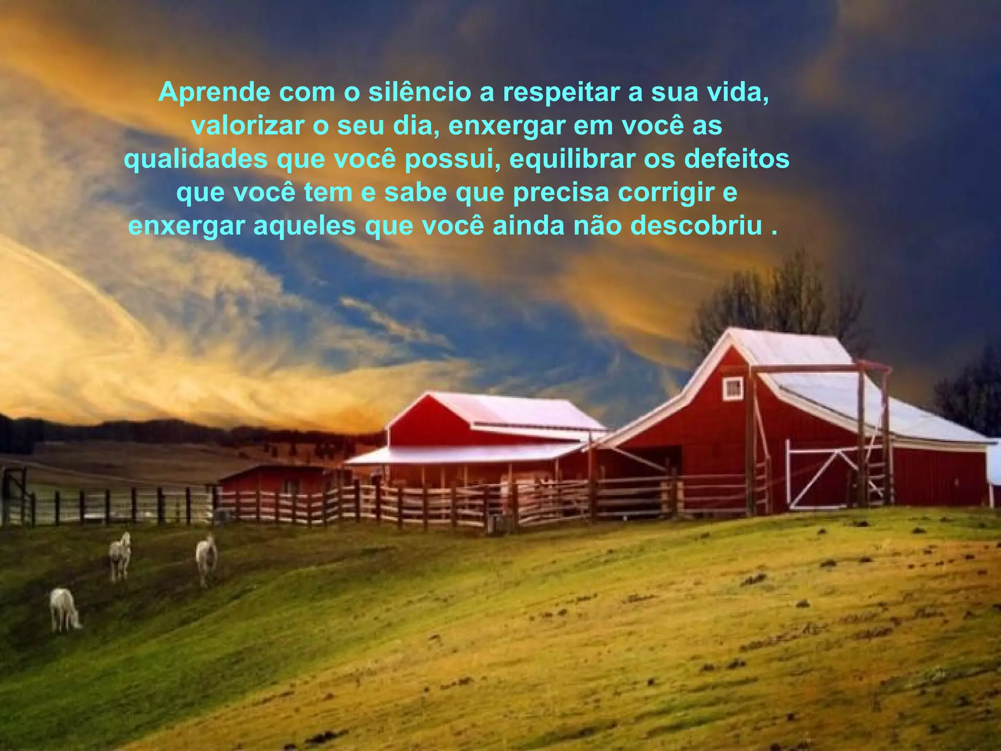 Aprende com o silêncio a respeitar a sua vida,
valorizar o seu dia, enxergar em você as
qualidades que você possui, equilibrar os defeitos
que você tem e sabe que precisa corrigir e
enxergar aqueles que você ainda não descobriu .

 