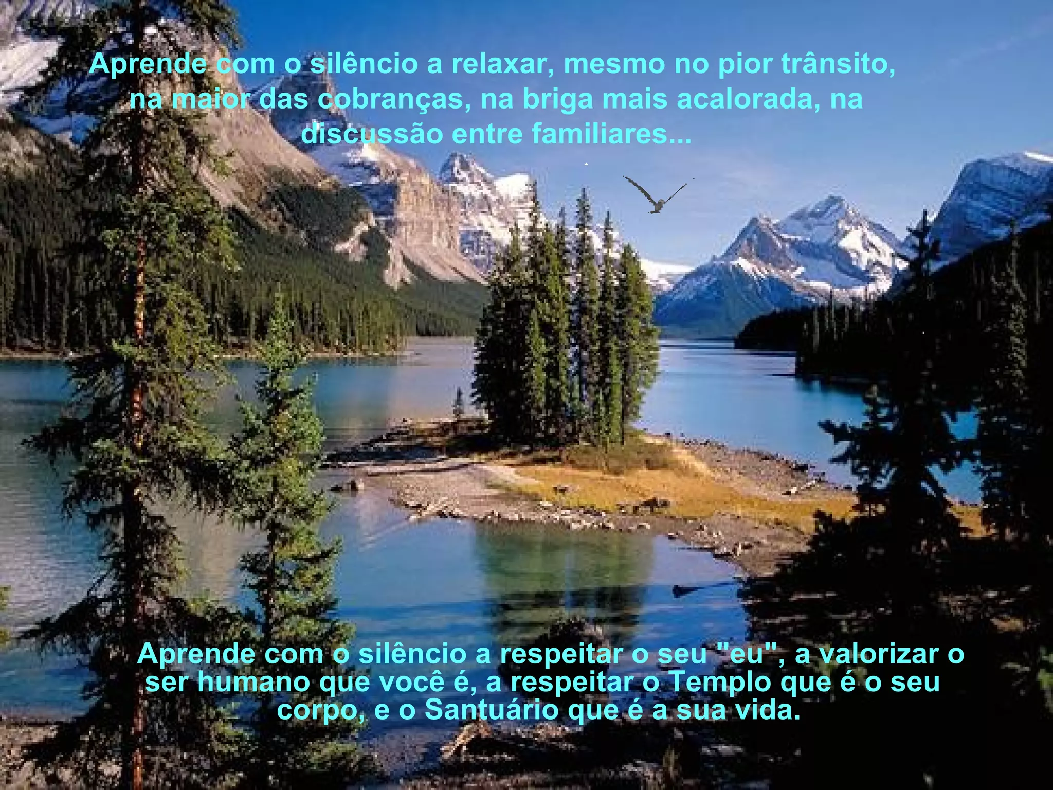 Aprende com o silêncio a relaxar, mesmo no pior trânsito,
na maior das cobranças, na briga mais acalorada, na
discussão entre familiares...

Aprende com o silêncio a respeitar o seu "eu", a valorizar o
ser humano que você é, a respeitar o Templo que é o seu
corpo, e o Santuário que é a sua vida.

 