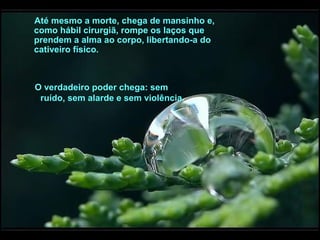 Até mesmo a morte, chega de mansinho e,
como hábil cirurgiã, rompe os laços que
prendem a alma ao corpo, libertando-a do
cativeiro físico.

O verdadeiro poder chega: sem
ruído, sem alarde e sem violência.

 