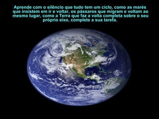 Aprende com o silêncio que tudo tem um ciclo, como as marés
que insistem em ir e voltar, os pássaros que migram e voltam ao
mesmo lugar, como a Terra que faz a volta completa sobre o seu
próprio eixo, complete a sua tarefa.

 