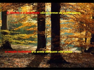 O silencio e a tolerância são as armas de quem pensa,




a reação instintiva é a arma de quem não pensa.
 