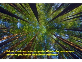 falamos palavras e temos gestos diante das pessoas que
amamos que jamais deveríamos expressar.
 