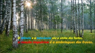 O silêncio e a tolerância são o vinho dos fortes,
a reação impulsiva é a embriagues dos fracos.
 