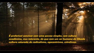 É preferível conviver com uma pessoa simples, sem cultura
acadêmica, mas tolerante, do que com um ser humano de ilibada
cultura saturada de radicalismo, egocentrismo, estrelismo.
 
