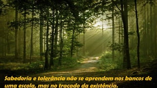 Sabedoria e tolerância não se aprendem nos bancos de
uma escola, mas no traçado da existência.
 