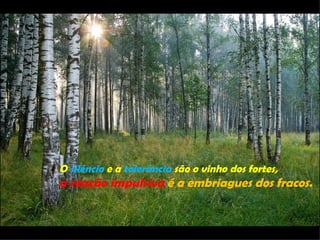 O silêncio e a tolerância são o vinho dos fortes,
a reação impulsiva é a embriagues dos fracos.
 