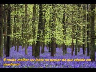 verteilt durch www.funmail2u.de




É muito melhor ser lento no pensar do que rápido em
machucar
 