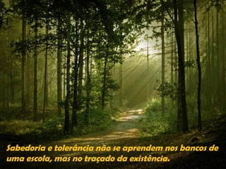 Sabedoria e tolerância não se aprendem nos bancos de
uma escola, mas no traçado da existência.
 