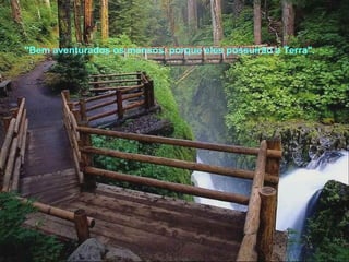 "Bem aventurados os mansos, porque eles possuirão a Terra". 
 